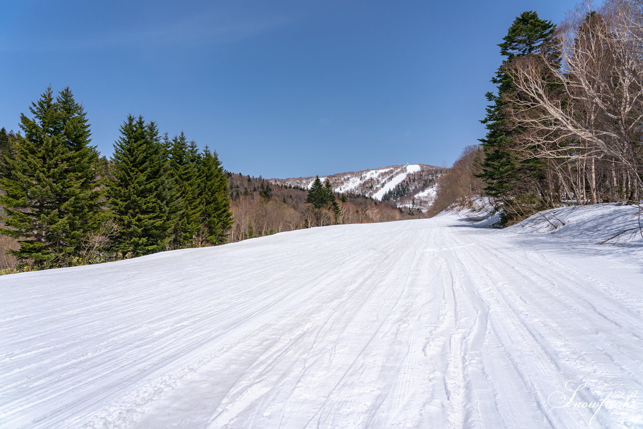 キロロリゾート　本当に明日でシーズン終わり？！まだまだ積雪豊富なキロロでGW春スキーを満喫(*^^*)